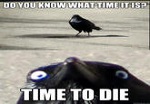 Insanity Crow