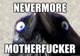 Insanity Crow
