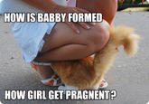How Is Babby Formed?