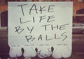 IRL Troll Posters
