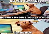 Human Dog