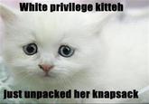 Check Your Privilege
