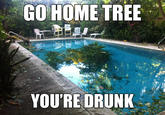 Go Home, You Are Drunk