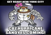 2012 Hurricane Sandy