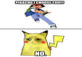 Grumpy Cat