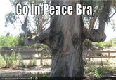 Go in peace, bra.