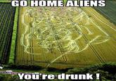 Go Home, You Are Drunk