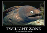 Bad Joke Eel
