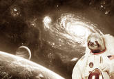 Astronaut Sloth