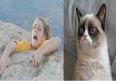 Mom Was Worried, I Sent Her This Picture