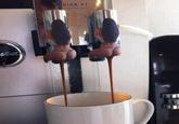 2 Girls 1 Cup