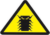 Y2K Bug