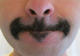Batman Moustache (Batstache)