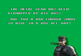 Bad Dudes