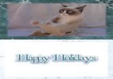 Grumpy Cat
