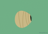 Dumb Ways to Die