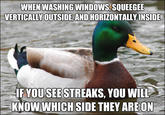 Actual Advice Mallard