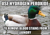 Actual Advice Mallard
