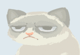 Grumpy Cat