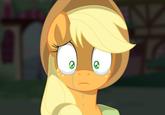 Pony Reactions