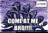 COME AT ME BRO