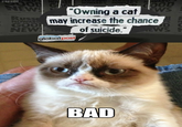 Reverse Memes