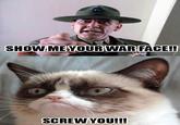 Grumpy Cat