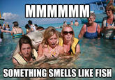 Stingray Photobomb