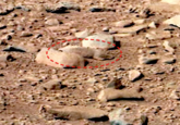 Mars Exploration