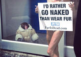 IKEA Monkey