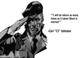 Troll Quotes