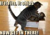 If It Fits I Sits