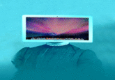 Apple Inc.