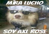 Oye Lucho, El perro del lucho