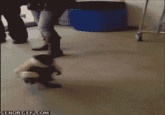 IKEA Monkey