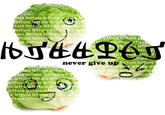 Lettuce / It Says "Never Give Up"