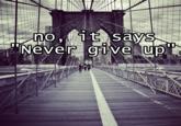 Lettuce / It Says "Never Give Up"