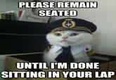 Captain Kitteh