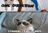 Grumpy Cat