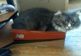 If It Fits I Sits