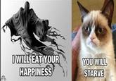 Grumpy Cat