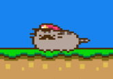 Pusheen