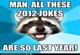 Lame Pun Coon