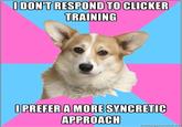 Critical Feminist Corgi