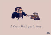 I Know That Feel Bro