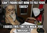 Financial Advice Dog
