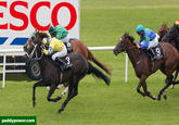 2013 Horse Meat Scandal