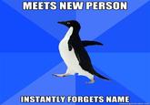 Socially Awkward Penguin