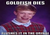 Bad Luck Brian