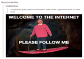 Night Blogging
